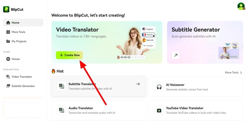 access video translator blipcut