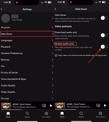 deactivate stream audio only data saver