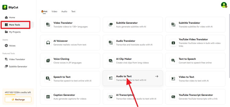 blipcut online audio to text free