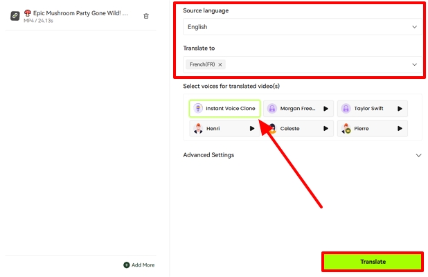 define translation settings blipcut