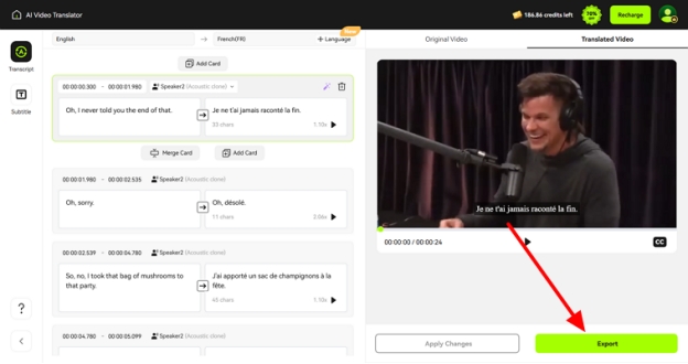 check translation video and export