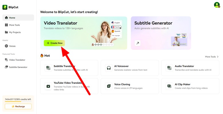 access video translator on blipcut