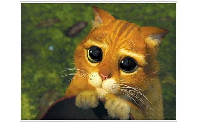 big eyes gazing upwards