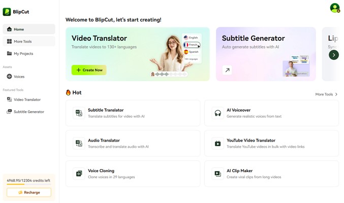 translate youtube videos blipcut