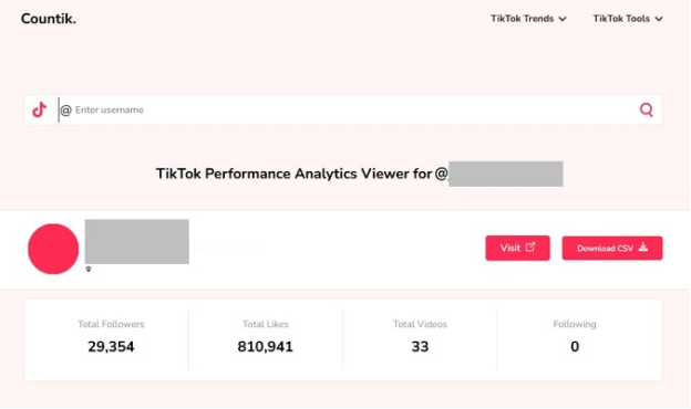 view tiktok details on countik