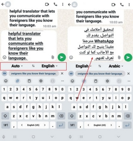 get output from whatsapp translator