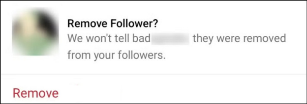 Confirm Followers Removal on Instagram
