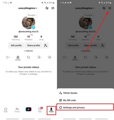 visit settings and privacy tiktok