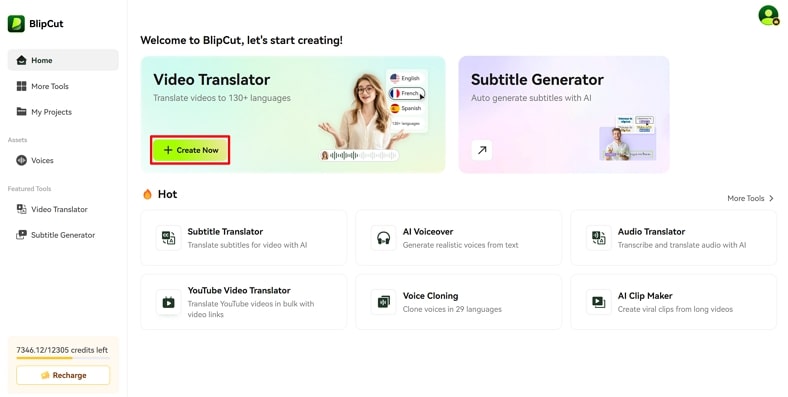 open blipcut video translation