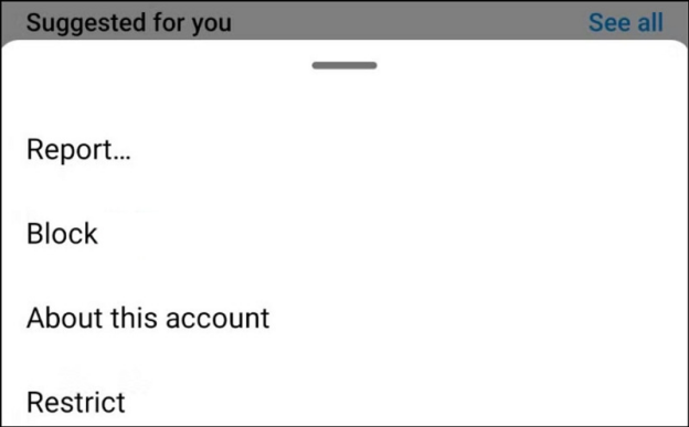 Block instagram followers