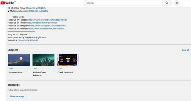 perform youtube transcript search