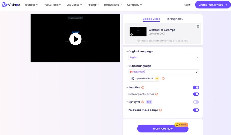 Vidnoz Erase Subtitles