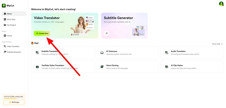 access video translator tool of blipcut