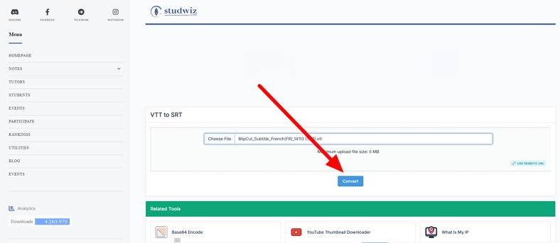 add file to convert to srt