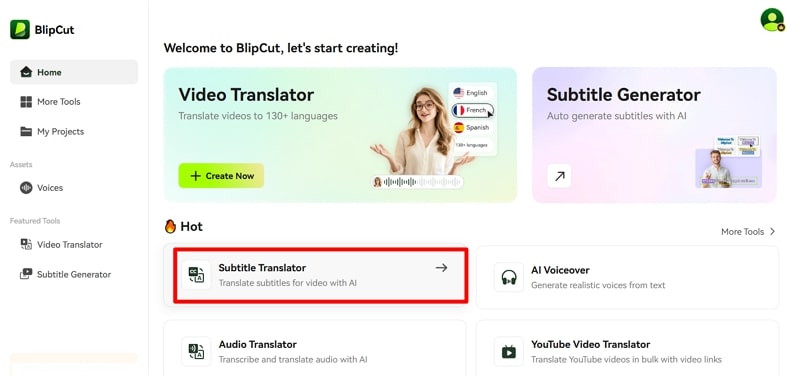locate subtitle generator of blipcut