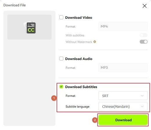 download chinese subtitles file