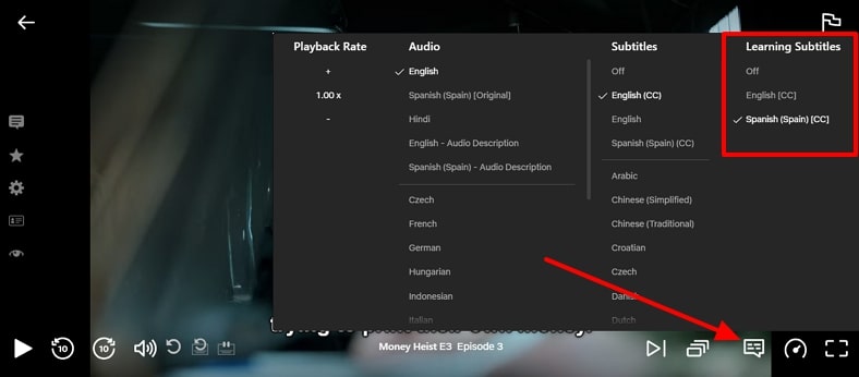 change subtitle language netflix