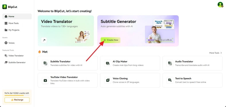 access subtitle translator blipcut