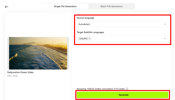 translate subtitles from video