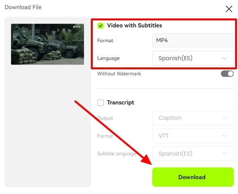 select video subtitle formats and download