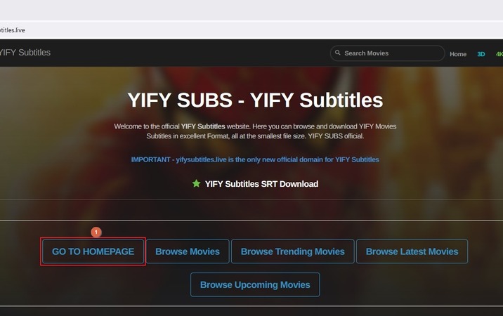 Klicken Sie auf „Zur Homepage“