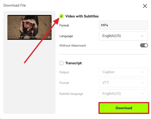 download subtitles with video
