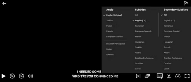 Secondary Subtitles Netflix Bilingual Subtitles
