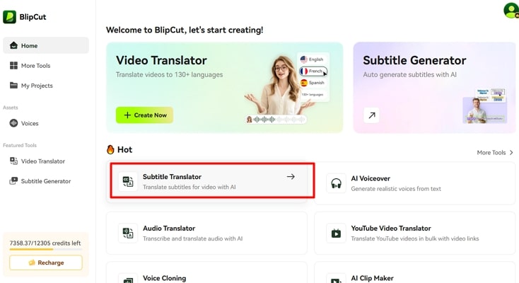 locate subtitle translate feature blipcut