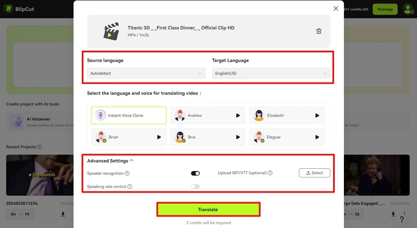 define parameters for subtitle translation