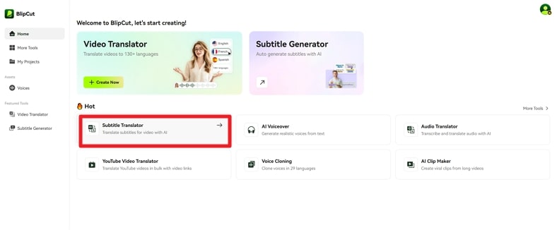 open subtitle translator for bangla subtitles