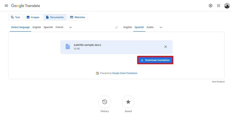 use download translation button