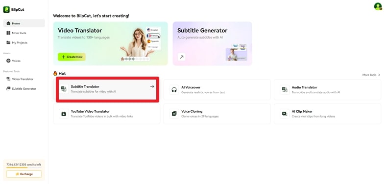 proceed with subtitle translator blipcut
