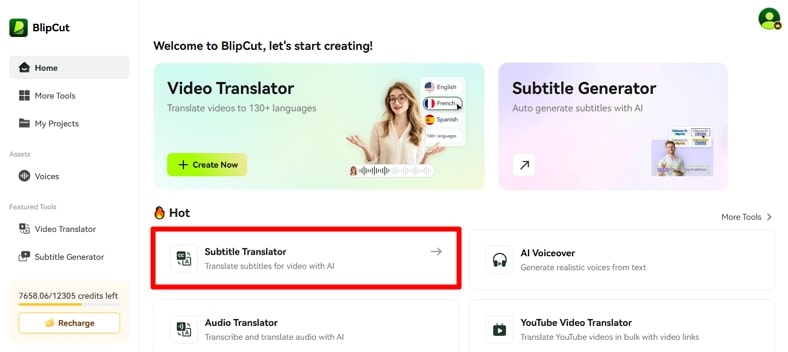 access blipcut subtitle translator