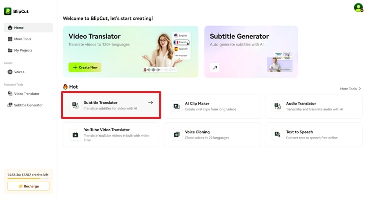 subtitle translation feature blipcut