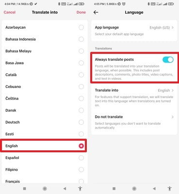 toggle russian tiktok song translation