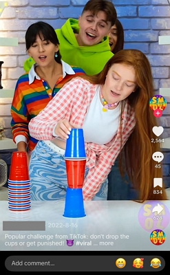 viral challenges funny tiktok ideas