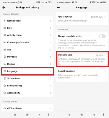 pick russian tiktok song translation language