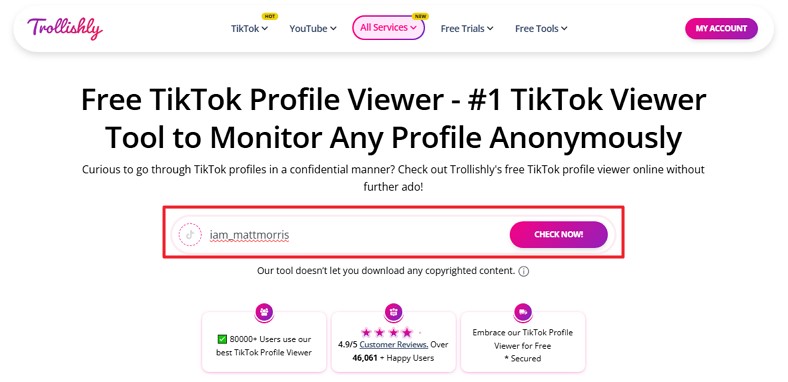 add url to trollishly tiktok viewer