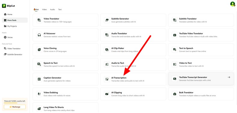 choose BlipCut AI Transcription