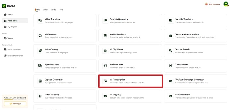 navigate ai transcription blipcut