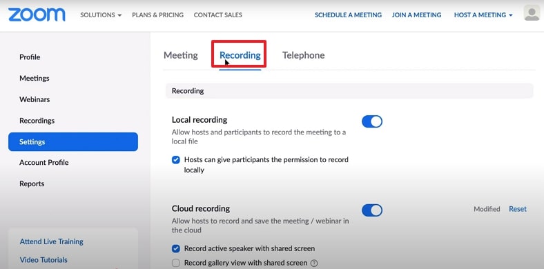 scroll down the recording tab zoom