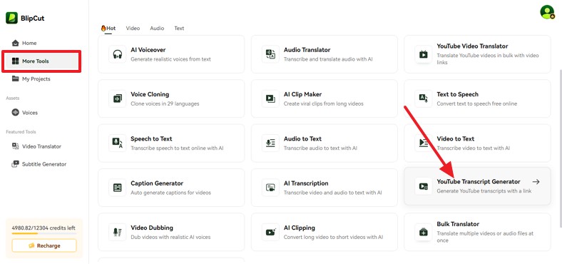locate youtube transcript generator blipcut tool