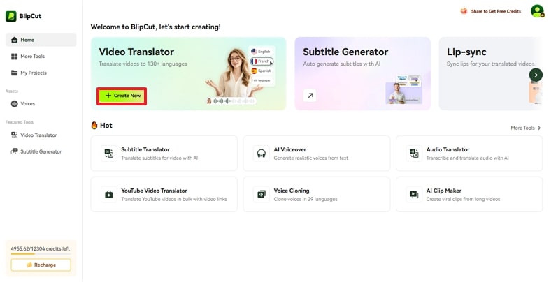 transcribe Zoom meeting video