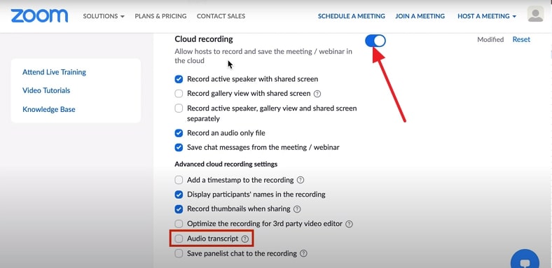 check audio transcript in zoom