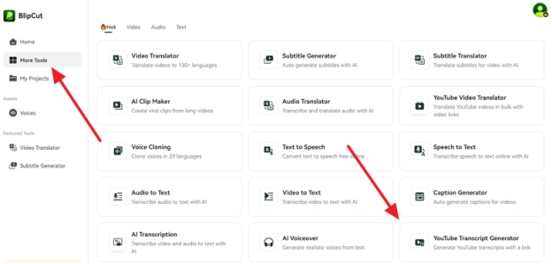 access blipcut search transcript youtube feature