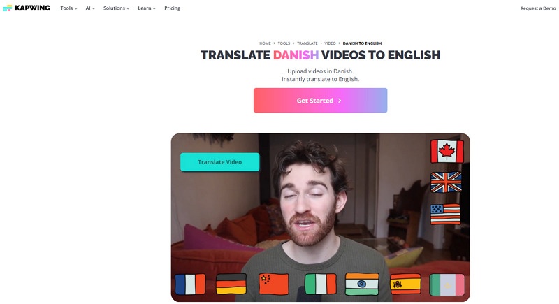 Kapwing Danish English Translate