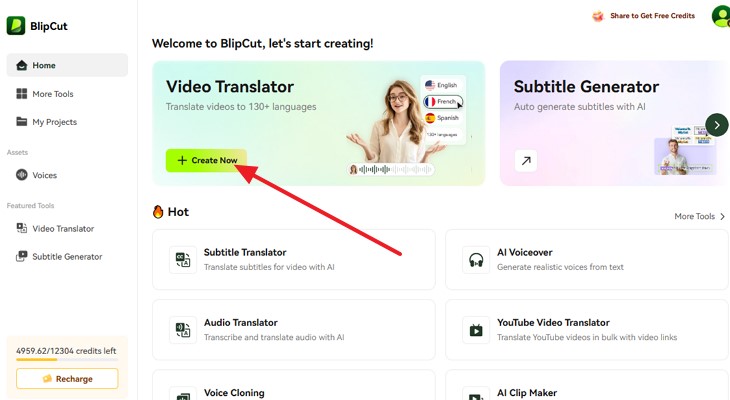 translation services blipcut ai video translation