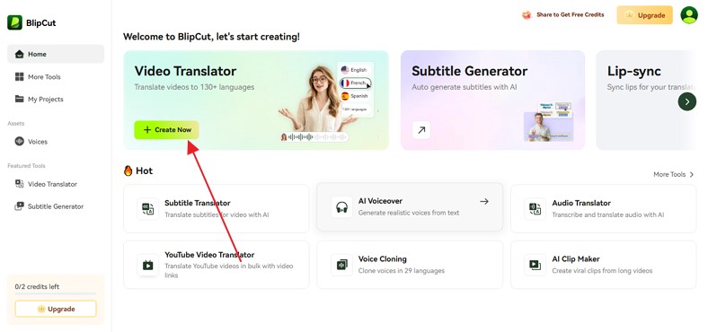 website translation and localization services blipcut