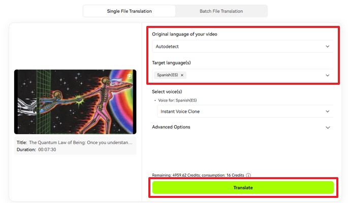 select translation target language