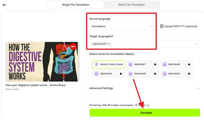 choose language and hit translate